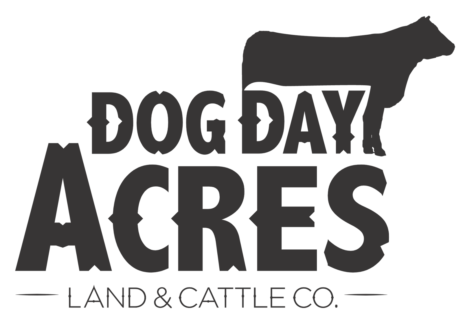 Donkeys For Sale Dog Day Acres Land & Cattle Co